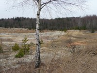 P1000309 (Medium).JPG