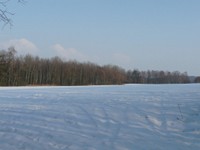 P1010432 (Medium).JPG